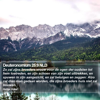 Deuteronomium 25:9 NLD Bible Verse Image