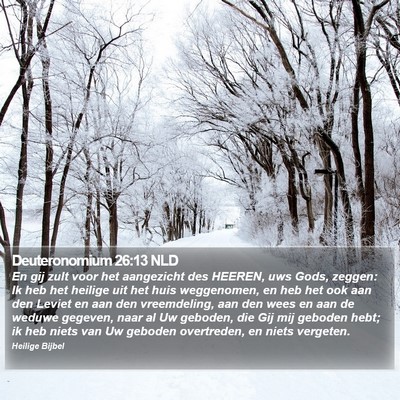 Deuteronomium 26:13 NLD Bible Verse Image