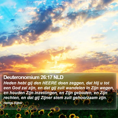 Deuteronomium 26:17 NLD Bible Verse Image