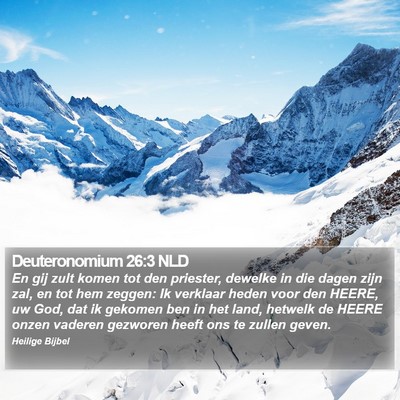 Deuteronomium 26:3 NLD Bible Verse Image