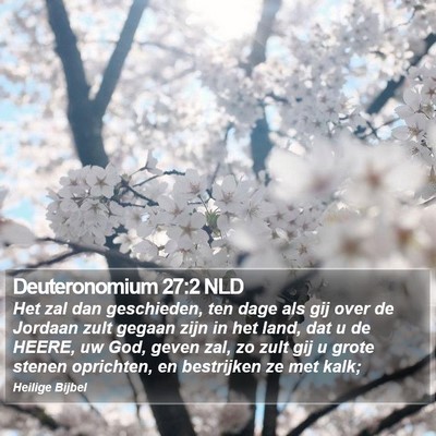 Deuteronomium 27:2 NLD Bible Verse Image
