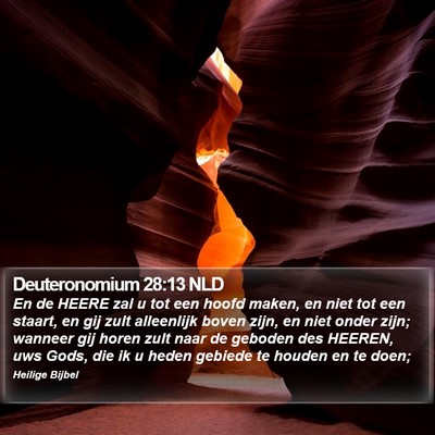 Deuteronomium 28:13 NLD Bible Verse Image