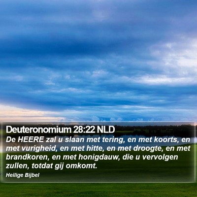 Deuteronomium 28:22 NLD Bible Verse Image