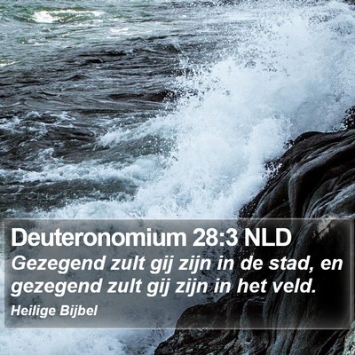 Deuteronomium 28:3 NLD Bible Verse Image