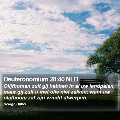 Deuteronomium 28:40 NLD Bible Verse Image