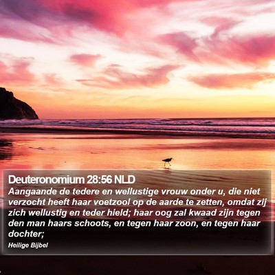 Deuteronomium 28:56 NLD Bible Verse Image
