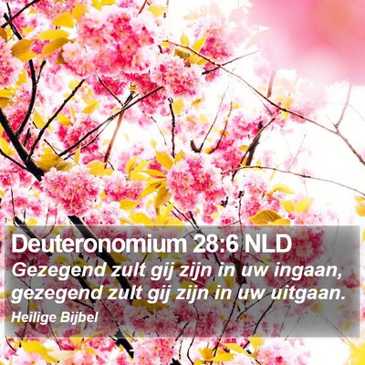 Deuteronomium 28:6 NLD Bible Verse Image