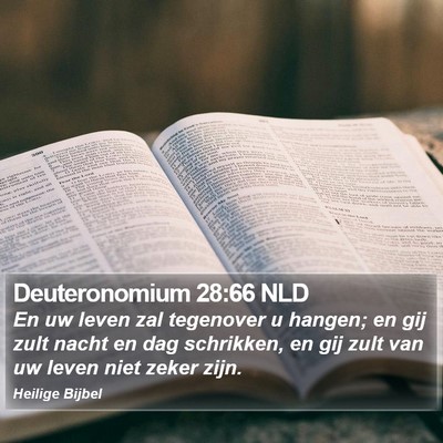 Deuteronomium 28:66 NLD Bible Verse Image