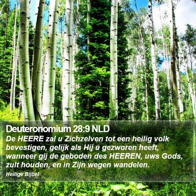 Deuteronomium 28:9 NLD Bible Verse Image