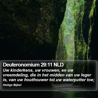 Deuteronomium 29:11 NLD Bible Verse Image