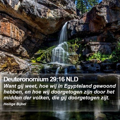 Deuteronomium 29:16 NLD Bible Verse Image