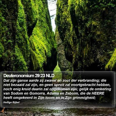 Deuteronomium 29:23 NLD Bible Verse Image