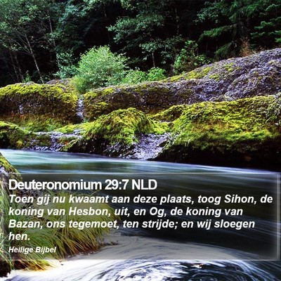 Deuteronomium 29:7 NLD Bible Verse Image