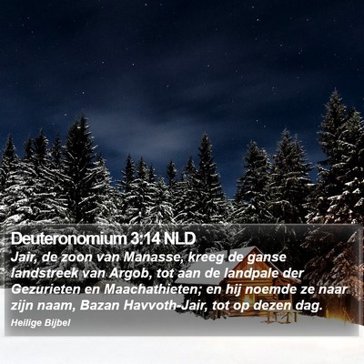Deuteronomium 3:14 NLD Bible Verse Image