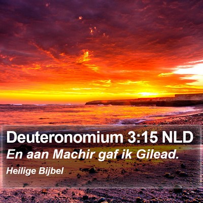 Deuteronomium 3:15 NLD Bible Verse Image