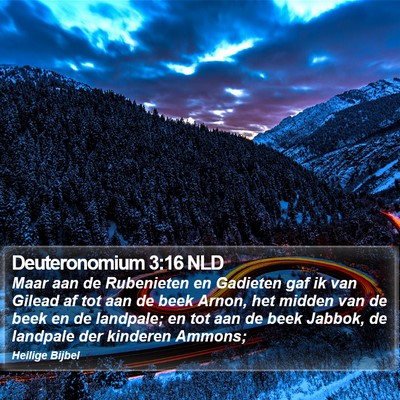 Deuteronomium 3:16 NLD Bible Verse Image