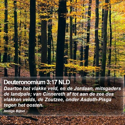 Deuteronomium 3:17 NLD Bible Verse Image