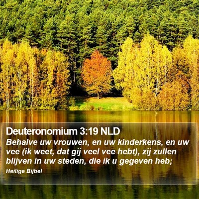 Deuteronomium 3:19 NLD Bible Verse Image