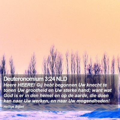 Deuteronomium 3:24 NLD Bible Verse Image