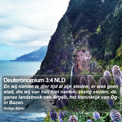 Deuteronomium 3:4 NLD Bible Verse Image
