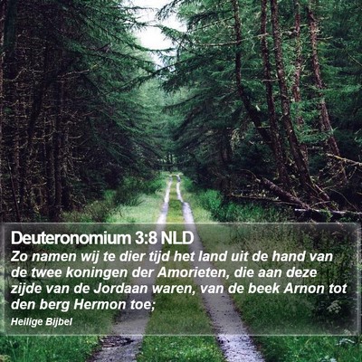 Deuteronomium 3:8 NLD Bible Verse Image