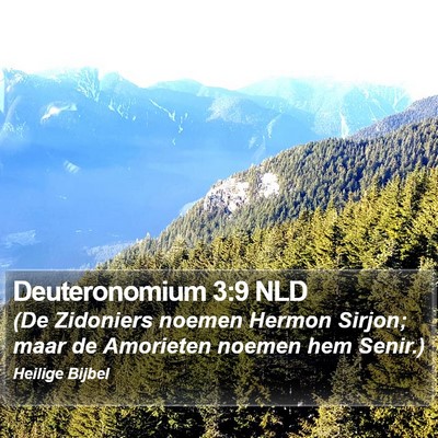 Deuteronomium 3:9 NLD Bible Verse Image