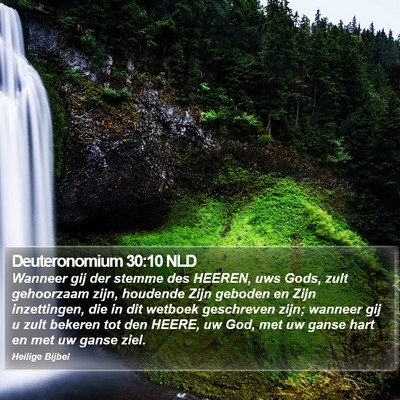 Deuteronomium 30:10 NLD Bible Verse Image