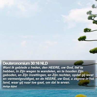 Deuteronomium 30:16 NLD Bible Verse Image