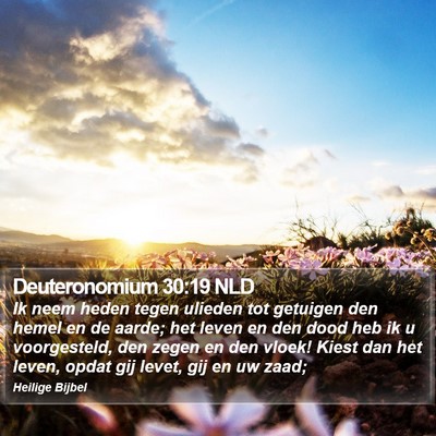 Deuteronomium 30:19 NLD Bible Verse Image