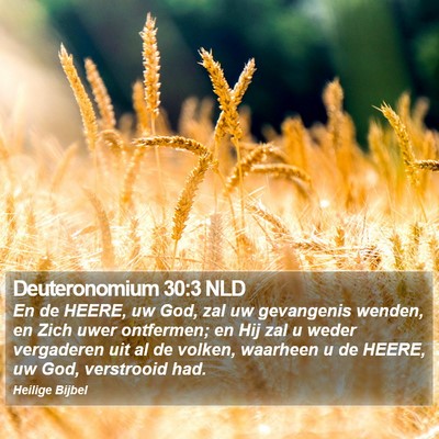 Deuteronomium 30:3 NLD Bible Verse Image