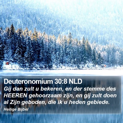 Deuteronomium 30:8 NLD Bible Verse Image