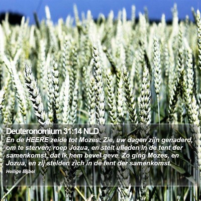 Deuteronomium 31:14 NLD Bible Verse Image