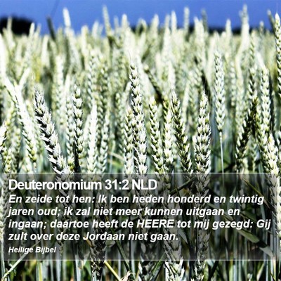 Deuteronomium 31:2 NLD Bible Verse Image