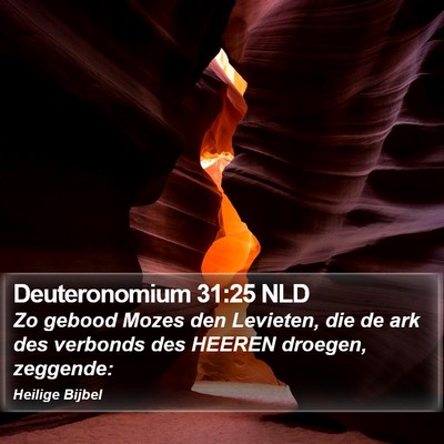 Deuteronomium 31:25 NLD Bible Verse Image