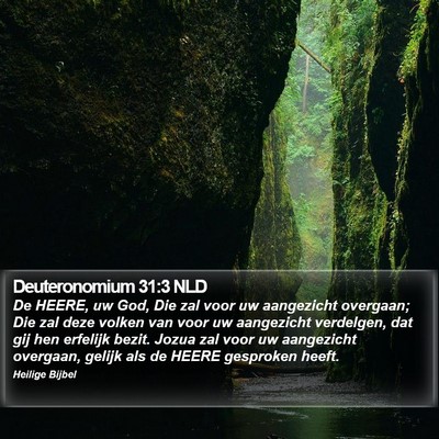 Deuteronomium 31:3 NLD Bible Verse Image
