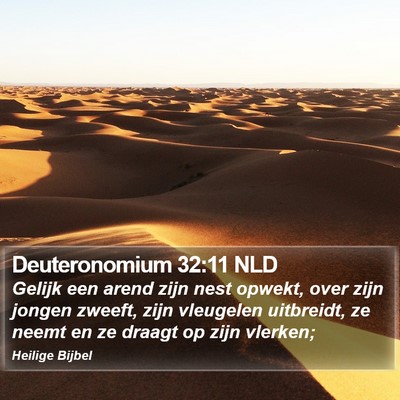 Deuteronomium 32:11 NLD Bible Verse Image
