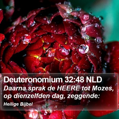 Deuteronomium 32:48 NLD Bible Verse Image