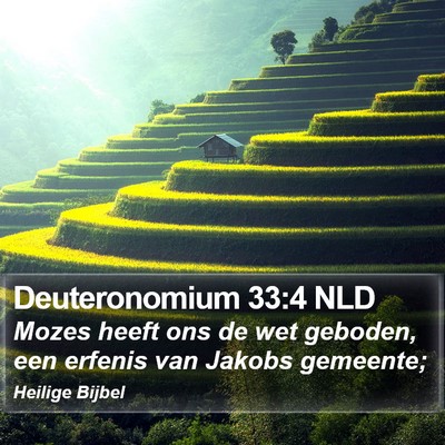 Deuteronomium 33:4 NLD Bible Verse Image