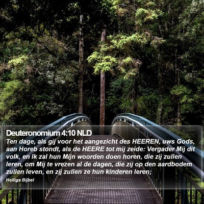 Deuteronomium 4:10 NLD Bible Verse Image