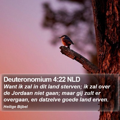 Deuteronomium 4:22 NLD Bible Verse Image