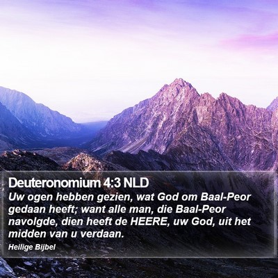 Deuteronomium 4:3 NLD Bible Verse Image