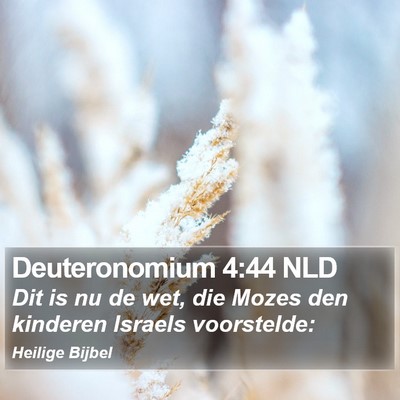 Deuteronomium 4:44 NLD Bible Verse Image