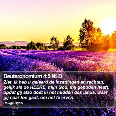 Deuteronomium 4:5 NLD Bible Verse Image
