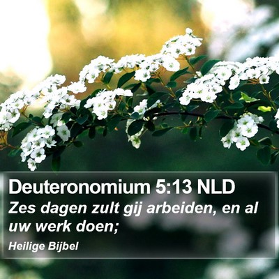 Deuteronomium 5:13 NLD Bible Verse Image