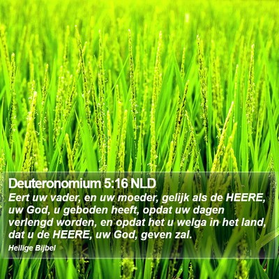 Deuteronomium 5:16 NLD Bible Verse Image