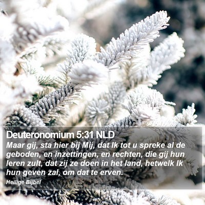 Deuteronomium 5:31 NLD Bible Verse Image