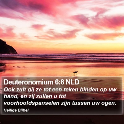 Deuteronomium 6:8 NLD Bible Verse Image