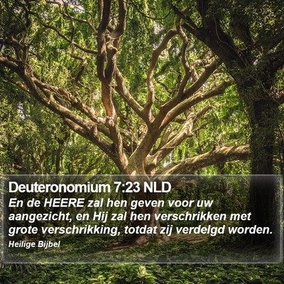Deuteronomium 7:23 NLD Bible Verse Image