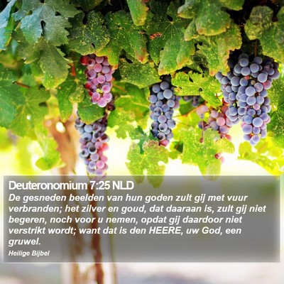 Deuteronomium 7:25 NLD Bible Verse Image