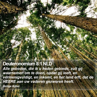 Deuteronomium 8:1 NLD Bible Verse Image